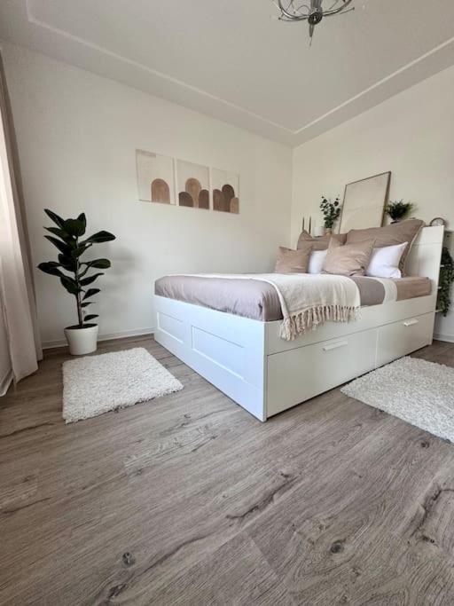 Apartment Schick, Gemuetlich & Naehe Therme *