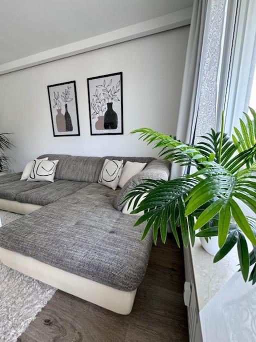 Apartment Schick, Gemuetlich & Naehe Therme Bad Lippspringe